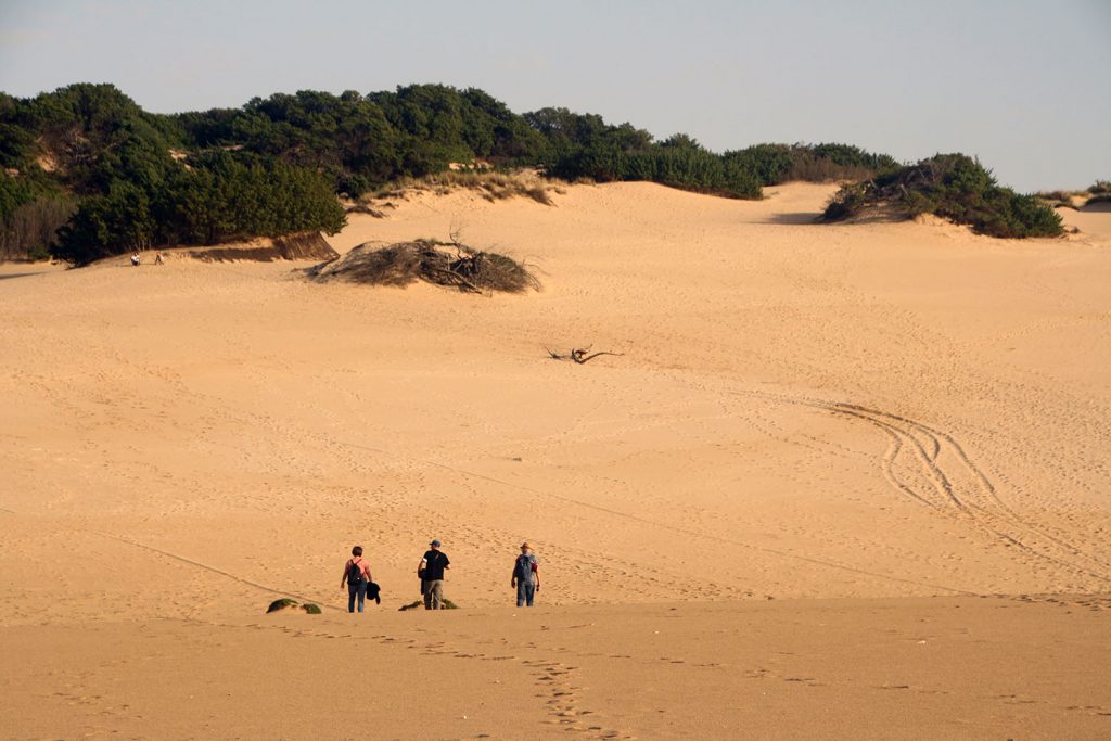 dune-di-piscinas-persone-che-camminano