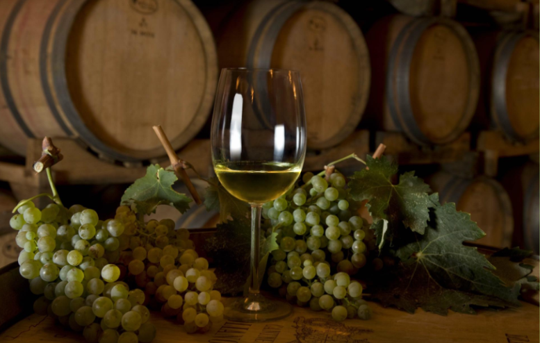 bicchiere di vino vermentino bianco con grappoli d'uva e botti sullo sfondo